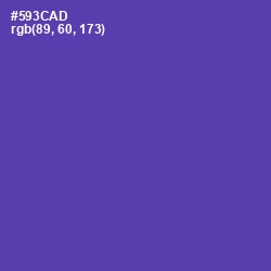 #593CAD - Royal Purple Color Image