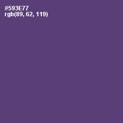 #593E77 - Voodoo Color Image