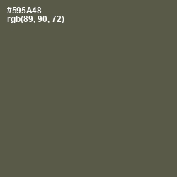 #595A48 - Fuscous Gray Color Image