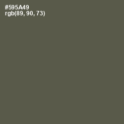 #595A49 - Fuscous Gray Color Image