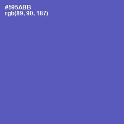 #595ABB - Blue Violet Color Image