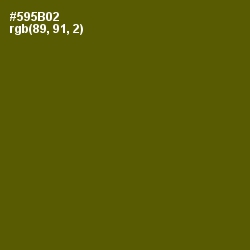 #595B02 - Saratoga Color Image