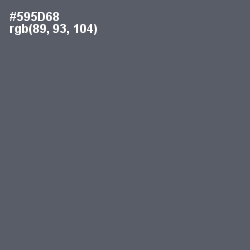 #595D68 - Mid Gray Color Image
