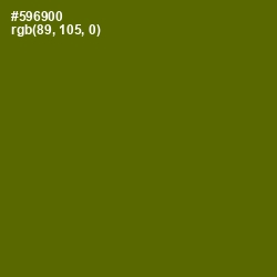 #596900 - Green Leaf Color Image