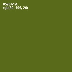 #596A1A - Green Leaf Color Image