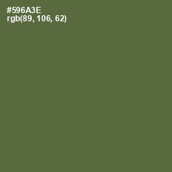 #596A3E - Chalet Green Color Image