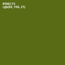 #596C15 - Green Leaf Color Image