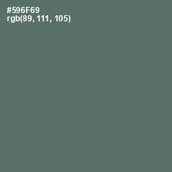 #596F69 - Shuttle Gray Color Image