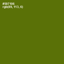 #597106 - Green Leaf Color Image