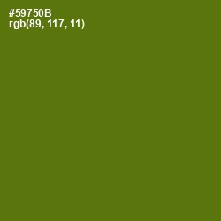 #59750B - Green Leaf Color Image