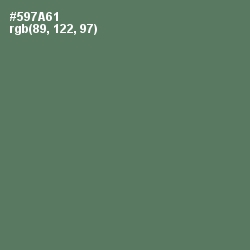 #597A61 - Como Color Image