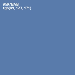 #597BAB - San Marino Color Image