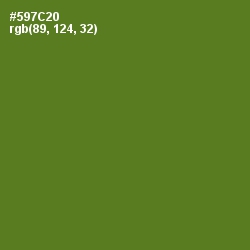 #597C20 - Chalet Green Color Image