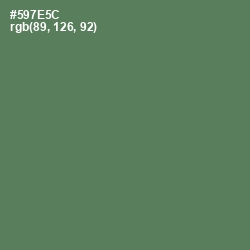 #597E5C - Cactus Color Image