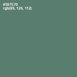 #597E70 - Cutty Sark Color Image