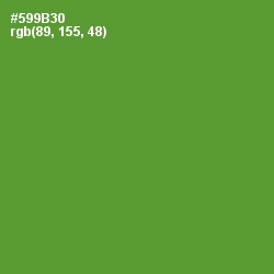 #599B30 - Apple Color Image