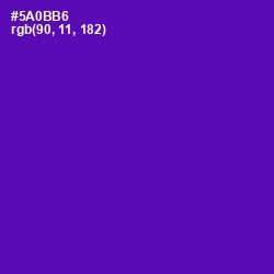 #5A0BB6 - Purple Color Image