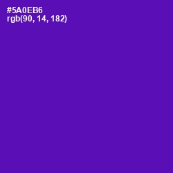 #5A0EB6 - Purple Color Image