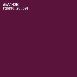 #5A143B - Wine Berry Color Image