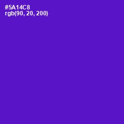 #5A14C8 - Purple Heart Color Image