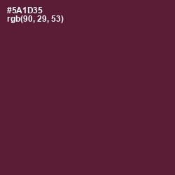 #5A1D35 - Wine Berry Color Image
