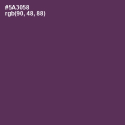 #5A3058 - Voodoo Color Image