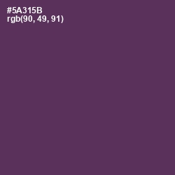 #5A315B - Voodoo Color Image