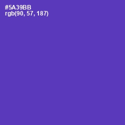 #5A39BB - Royal Purple Color Image