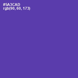#5A3CAD - Royal Purple Color Image