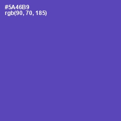 #5A46B9 - Blue Violet Color Image