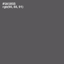 #5A585B - Chicago Color Image