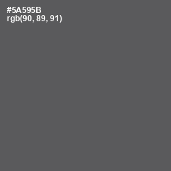 #5A595B - Chicago Color Image