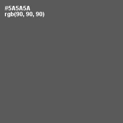 #5A5A5A - Chicago Color Image