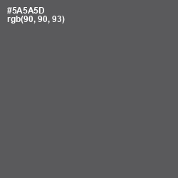 #5A5A5D - Chicago Color Image