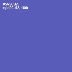 #5A5CBA - Blue Violet Color Image