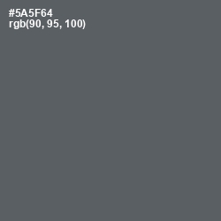 #5A5F64 - Scarpa Flow Color Image