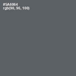 #5A6064 - Shuttle Gray Color Image