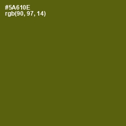 #5A610E - Green Leaf Color Image