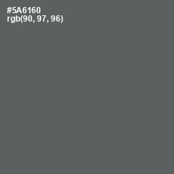 #5A6160 - Shuttle Gray Color Image