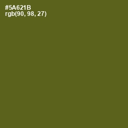 #5A621B - Green Leaf Color Image