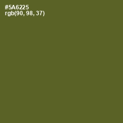 #5A6225 - Chalet Green Color Image
