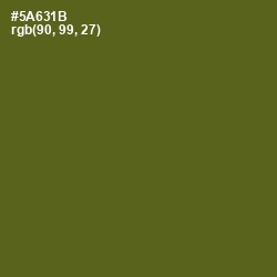 #5A631B - Green Leaf Color Image