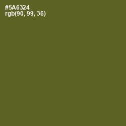 #5A6324 - Chalet Green Color Image