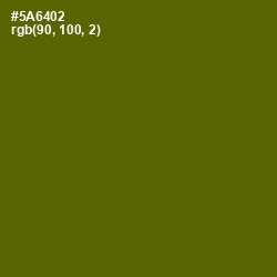 #5A6402 - Green Leaf Color Image