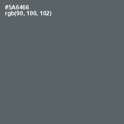 #5A6466 - Shuttle Gray Color Image