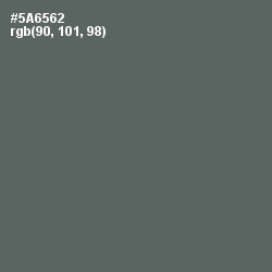 #5A6562 - Shuttle Gray Color Image