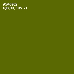 #5A6902 - Green Leaf Color Image