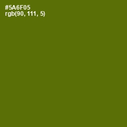 #5A6F05 - Green Leaf Color Image