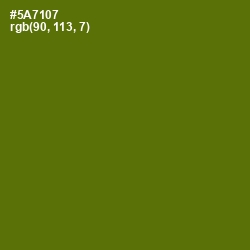 #5A7107 - Green Leaf Color Image