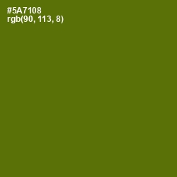 #5A7108 - Green Leaf Color Image